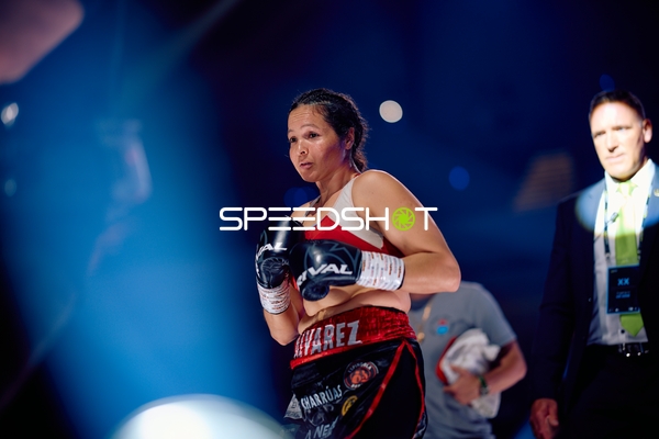 Boxerin in Ringside Zone