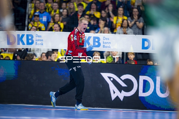 Parade von David Späth (29; Rhein Neckar Löwen)