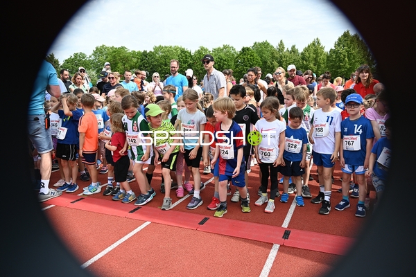 Start TVE Sommerlauf Edingen 2025