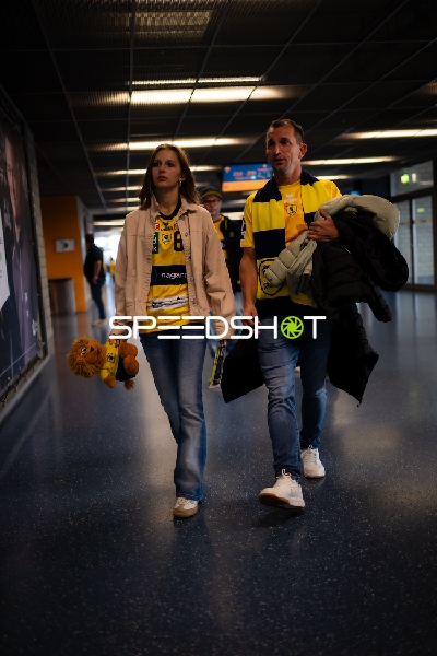 Fans der Rhein Neckar Löwen