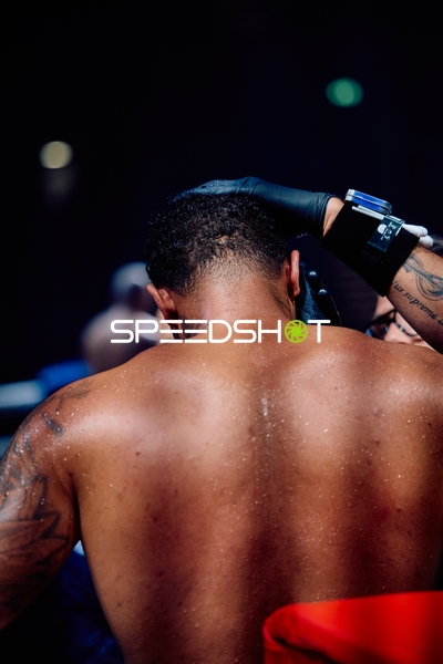 Boxer in Ringside Zone