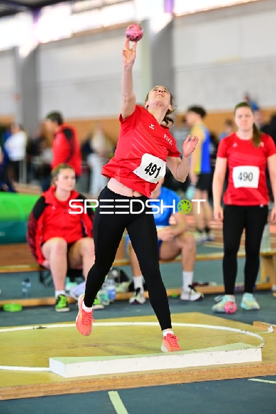 Schäfer Nina mit Wurf