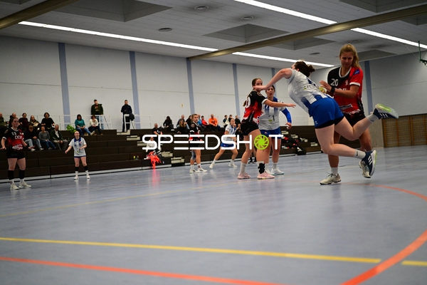 Spieler von TVE - Edinger Haie in Aktion