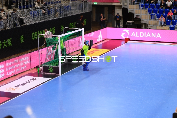 Torwart von Schweiz in Aktion