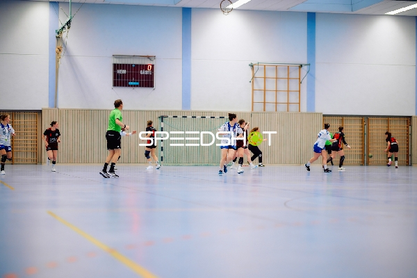 handballspiel