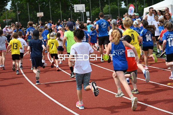 TVE Sommerlauf Edingen 2025