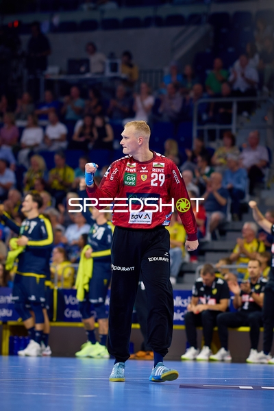 Torwart David Späth (29; Rhein Neckar Löwen) in Position
