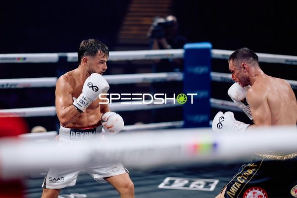 Boxer im Ringside Duell