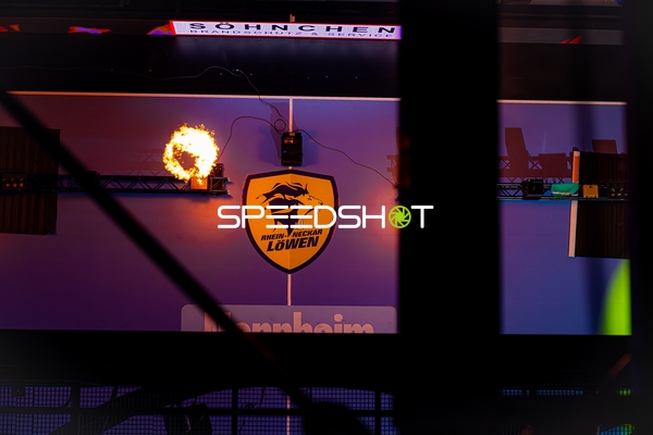 Rhein-Neckar Löwen Logo in Halle