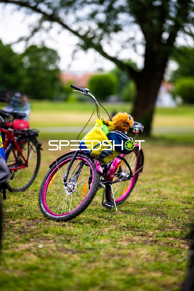 Spielfeldszene ohne Aktion