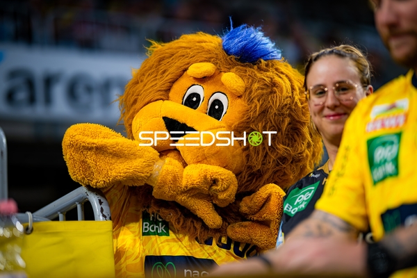 Kevin Gerwin (49; Rhein Neckar Löwen) positionieren sich