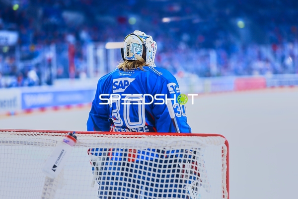 Torwart Arno Tiefensee im Fokus