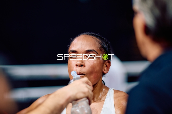 Boxerin in Ringside Zone