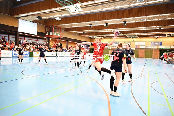 Kurpfalz Bären-Spieler im Wurf gegen Mainz 05