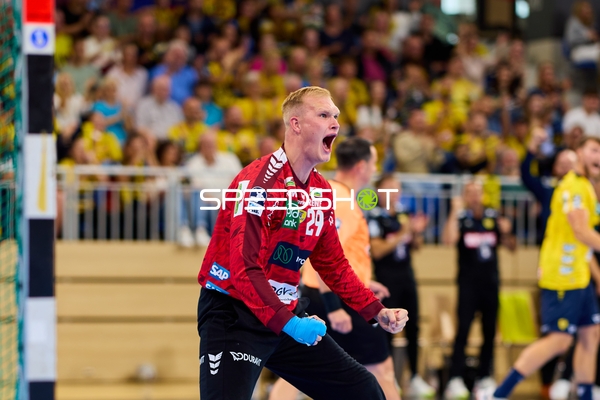 Torwart David Späth (29; Rhein Neckar Löwen) jubelt