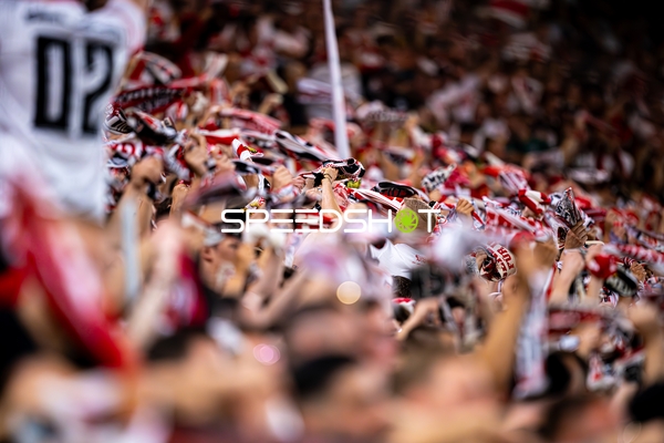 Fans feiern in Stuttgart