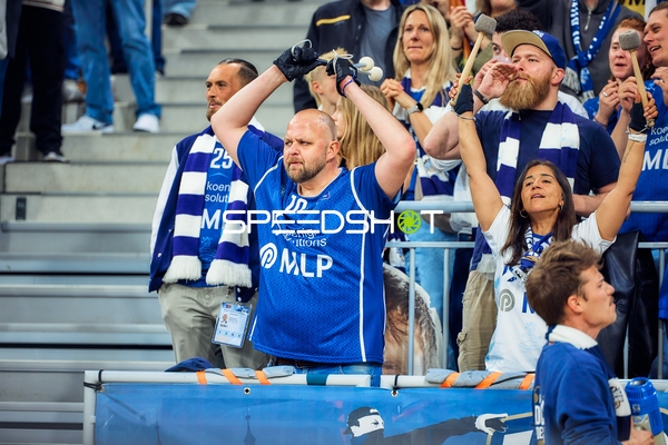 Fans der MLP Academics Heidelberg jubeln