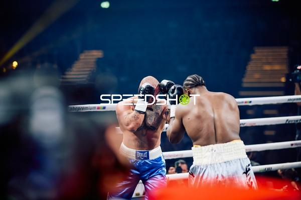 Boxer in Ringside Zone