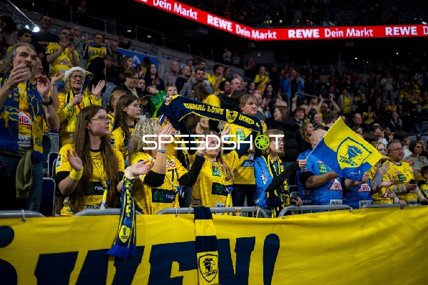 Fans in gelben Trikots feiern