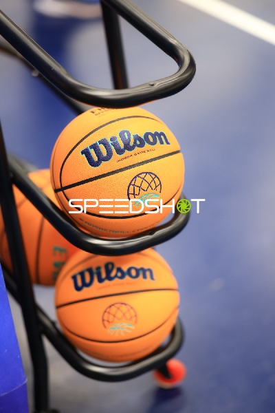 Basketballbälle im Ballhalter