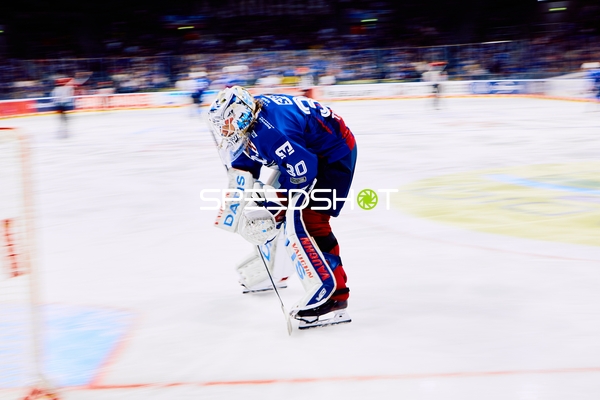 Adler Mannheim Torwart konzentriert im Playoff-Kampf