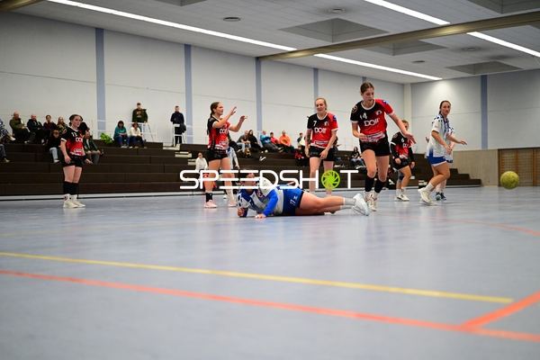 Handballspiel in Edingen