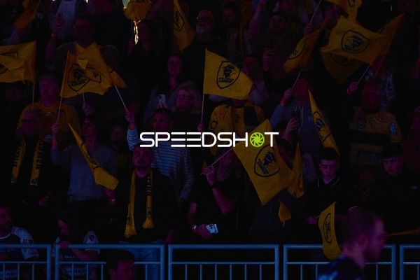 Fans jubeln mit Fahnen