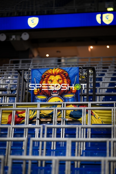 Fans der Rhein Neckar Löwen in der SAP Arena