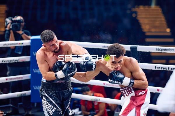 Boxer im Schlagabtausch