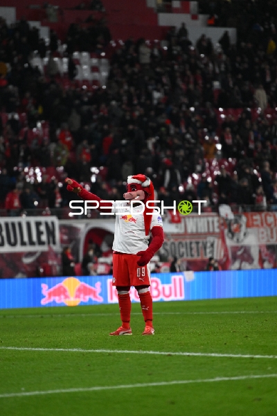 Maskottchen auf dem Spielfeld