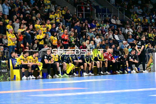 Spieler von Rhein Neckar Löwen auf der Bank