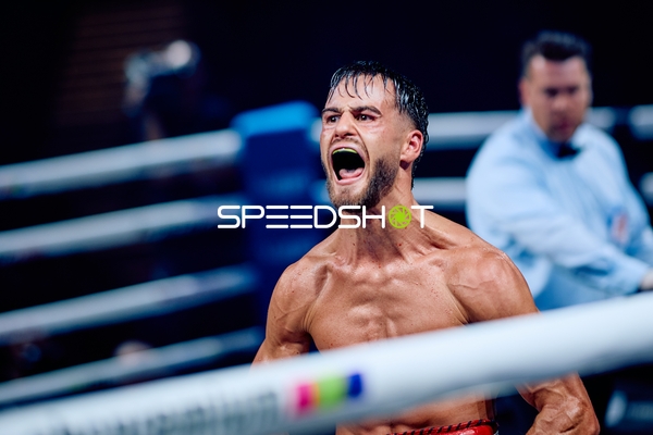 Boxer in Ringside Zone