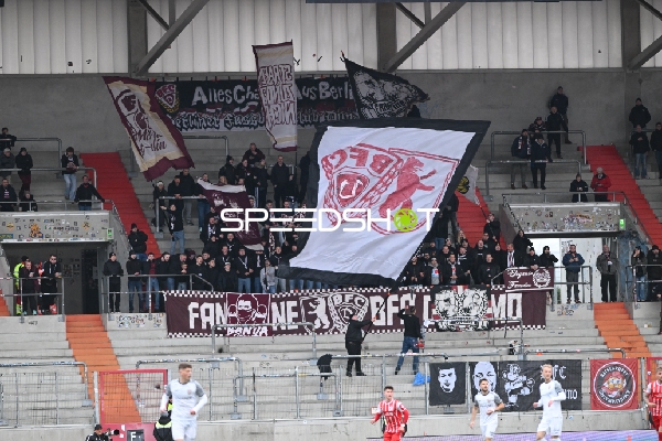 Fans und Spieler im Stadion