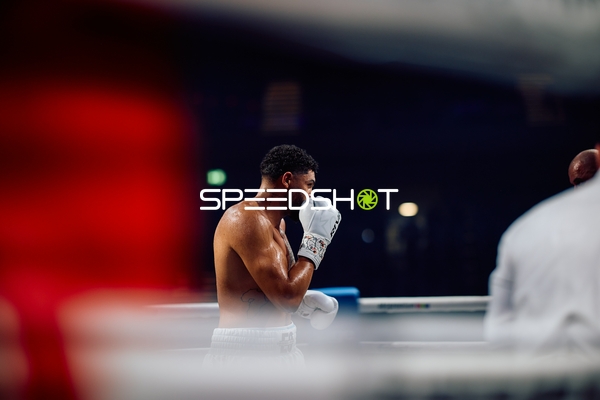 Boxer in Ringside Zone