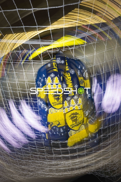 Fan-Szene mit Rhein-Neckar Löwen Schal