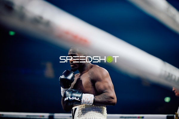 Boxer in Ringside Zone