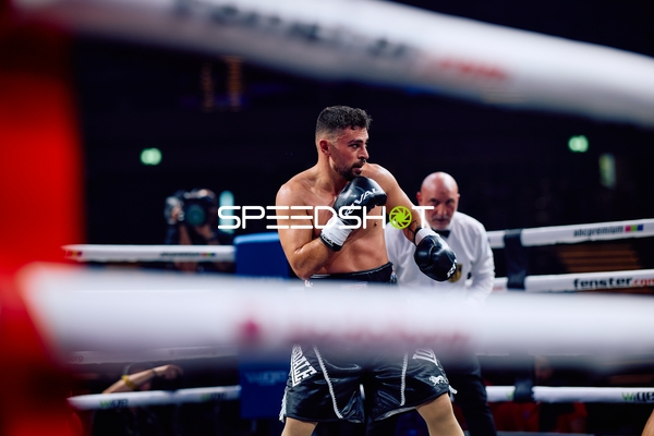 Boxer in Ringside Zone