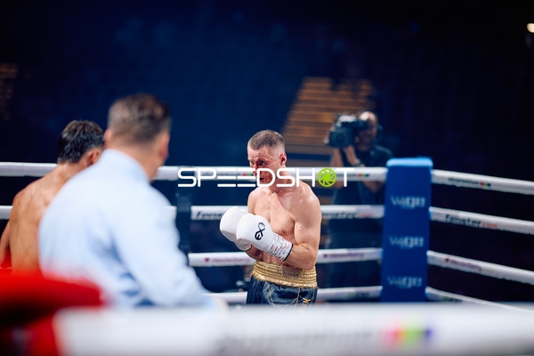 Boxer in Ringside Zone