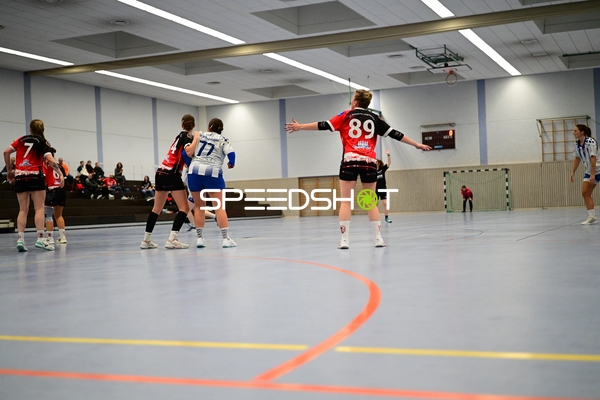 Abwehr von TVE - Edinger Haie vor dem Tor