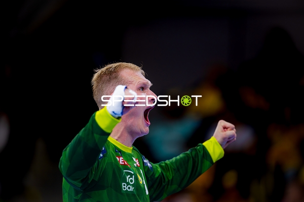 Torwart mit erhobenen Armen