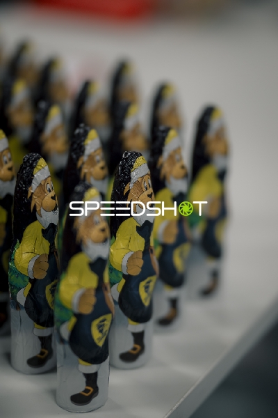 Figuren mit Löwen-Motiv