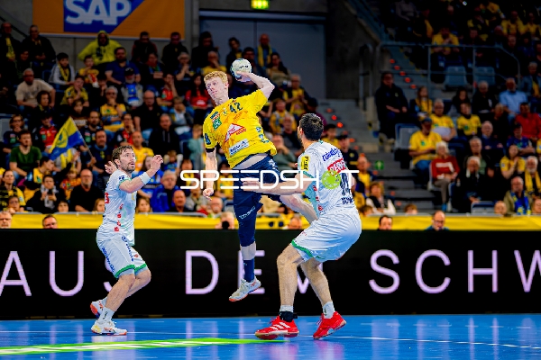 Handball I Herren I Saison 2024-2025 I Daikin HBL I 27. Spieltag I Rhein-Neckar Löwen - DHfK Leipzig I 24.04.2025