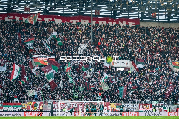Fans feiern in der Arena