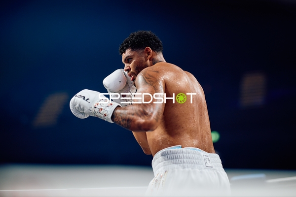 Boxer in Kampfhaltung