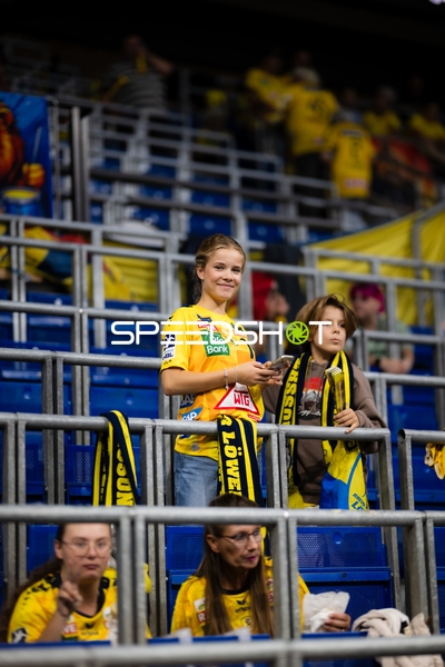 Fans der Rhein Neckar Löwen