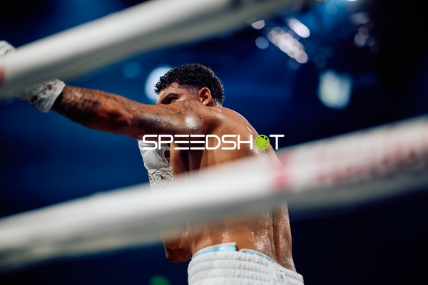 Boxer in Ringside Zone