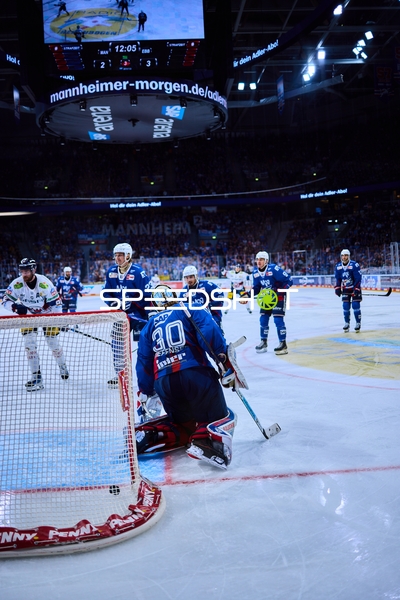 Torwart von Adler Mannheim verteidigt Tor