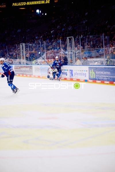 Adler Mannheim gegen Eisbären: Intensiver Lauf entlang der Bande