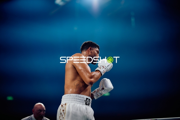 Boxer in Ringside Zone