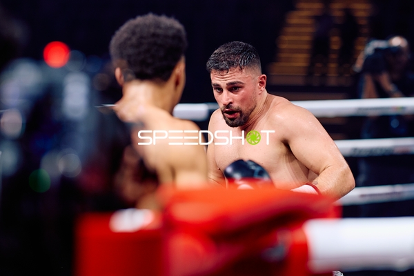 Boxer in Ringside Zone